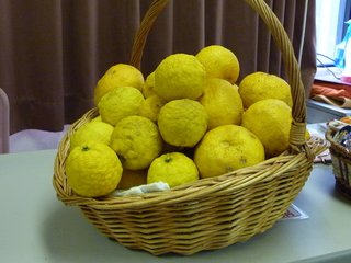 P1000207.JPG